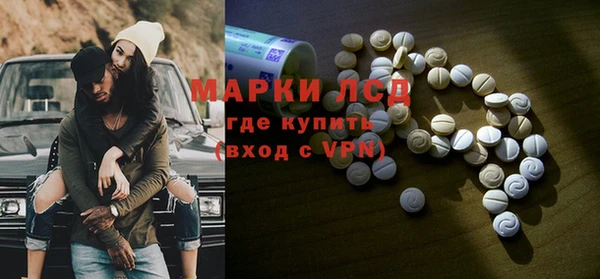 PSILOCYBIN Балабаново